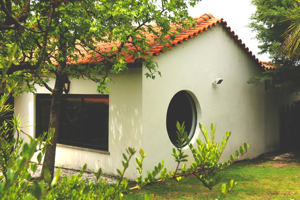 Quinta Santo Antonio Do Rio Villa Celorico Da Beira Ngoại thất bức ảnh